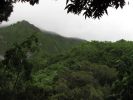 Maunawili Demonstration Trail Waimanalo side